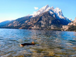 flyfishing Jenny Lake