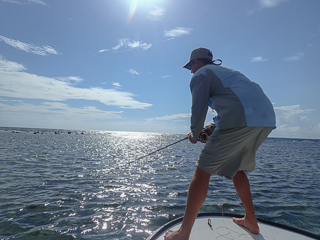 flyfishing for parrotfish