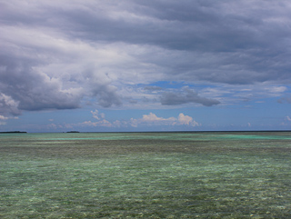 flyfishing Turneffe Atoll Belize