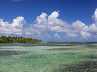 flyfishing saltwater