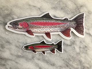 fish decals