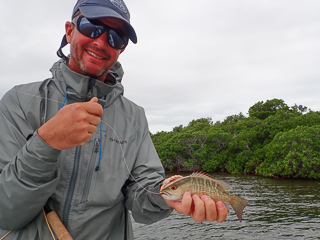 fly fishing for snapper
