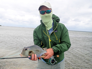 Bill Drewry fly fishing for boxfish