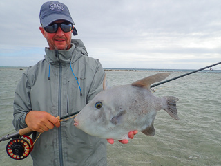 Jeff Currier flyfishing Belize