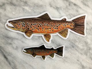 fish decals