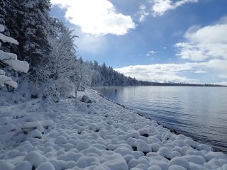 fly fishing for lake trout