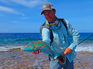 Jeff Currier Surge wrasse