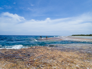 flyfishing the reef