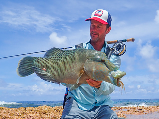 Jeff Currier Napoleon wrasse