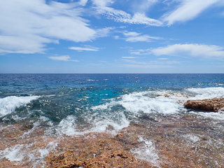 fly fishing for Napoleon wrasse