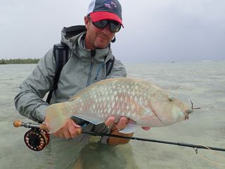 Jeff Currier flyfishing parrotfish