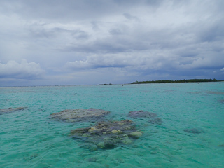 fly fishing the flats