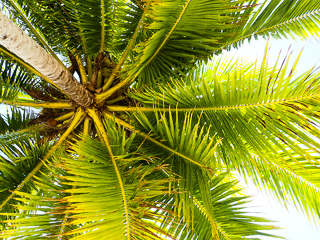 fly fishing saltwater