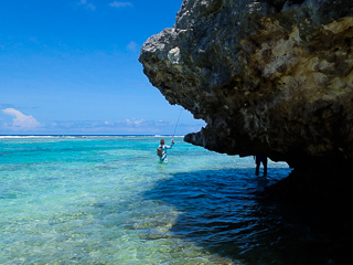 fly fishing for triggerfish