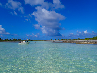 bonefishing Anaa Atoll