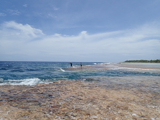 Anaa Atoll reef fishing