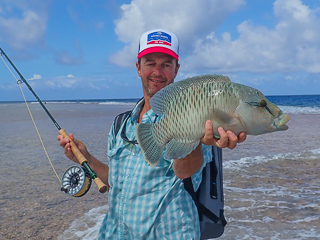 Jeff Currier Napoleon wrasse