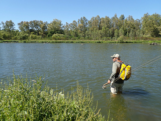 flyfishing South Africa