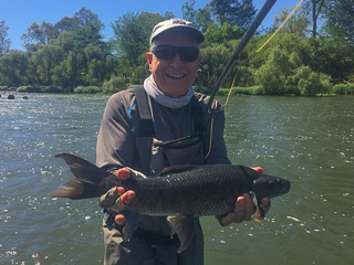 Vaal River Mudfish