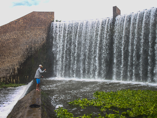 Jeff Currier yellowfish