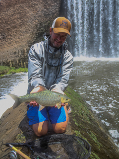 largscale yellowfish Jeff Currier