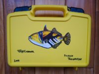 jeff-currier-picasso-triggerfish-art