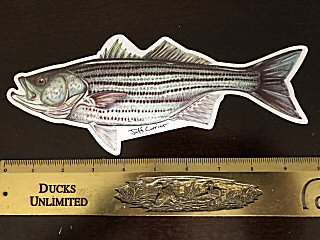 striped-bass-decals