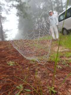 world-Masters-Flyfishing-Championships