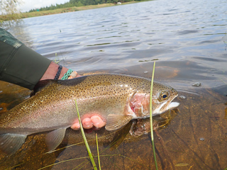 flyfishing-brookwood-dam