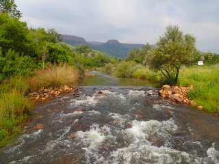 Spekboom-River-South-Africa