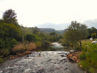 Spekboom-River-South-Africa