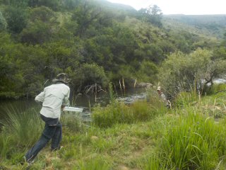 jeff-currier-world-championships-flyfishing