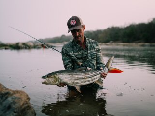 Jeff-Currier-hydrocynus-brevis