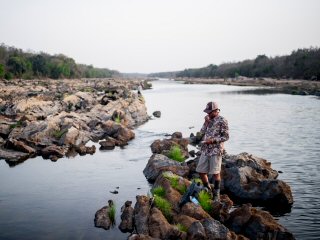 Jeff-Currier-Nile-perch