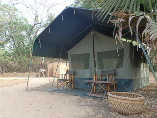Tourette-Fishing-Cameroon