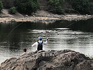 fishing-and-hippos