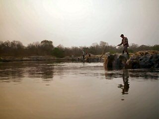 Jeff-Currier-Nile-perch