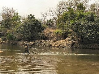 illegal-fish-netting