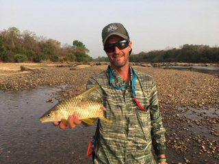 Jeff-Currier-tigerfish