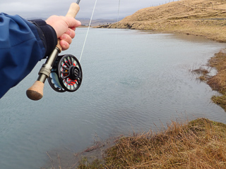 Bauer-fly-reel