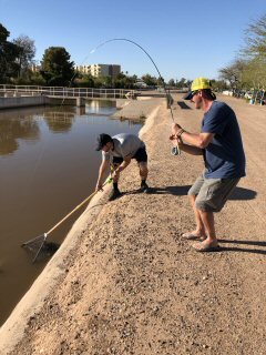 grass-carp-on-the-fly