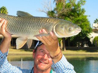 Jeff-Currier-grass-carp