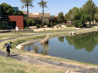 urban-fly-fishing-arizona