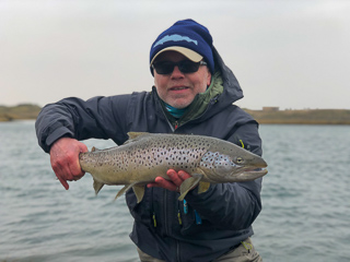 Ingo-Helgason-brown-trout