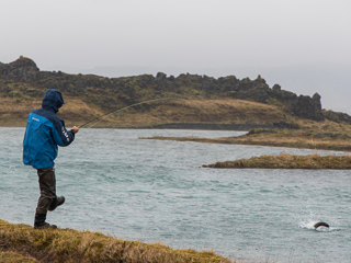 Jeff-Currier-fishing-Iceland