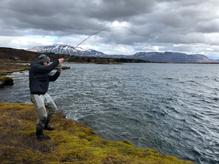 huge-brown-trout-iceland