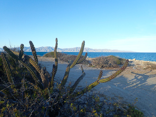 Baja-Mexico