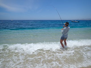 fly-fishing-baja