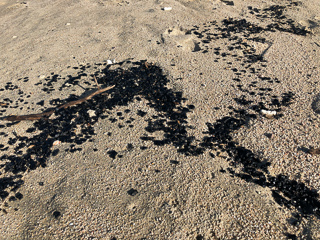 tar-on-the-beach