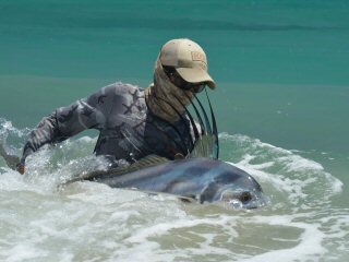 Lance-Peterson-roosterfish